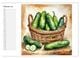 Thumbnail-7