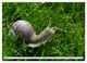 Thumbnail-11