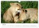 Thumbnail-9