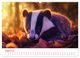 Thumbnail-10
