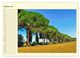 Thumbnail-11