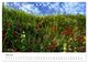 Thumbnail-12