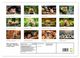 Thumbnail-4