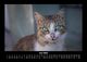Thumbnail-10