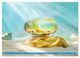 Thumbnail-11