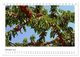Thumbnail-12
