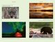 Thumbnail-11