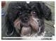 Thumbnail-13