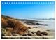 Thumbnail-9