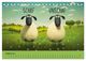 Thumbnail-13