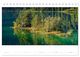 Thumbnail-8
