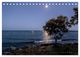 Thumbnail-10