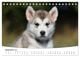 Thumbnail-14