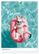 Thumbnail-14