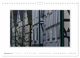 Thumbnail-11