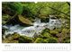 Thumbnail-11