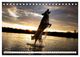 Thumbnail-14