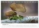 Thumbnail-14