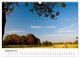 Thumbnail-14