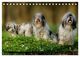 Thumbnail-11