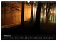 Thumbnail-12