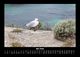 Thumbnail-9