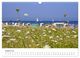 Thumbnail-10