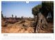 Thumbnail-12