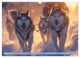 Thumbnail-10