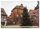 Thumbnail-14