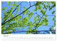 Thumbnail-9