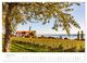 Thumbnail-10