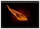 Thumbnail-12