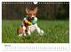 Thumbnail-9