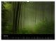 Thumbnail-12