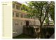 Thumbnail-11
