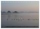 Thumbnail-14