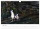 Thumbnail-12