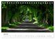Thumbnail-8