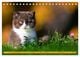Thumbnail-10