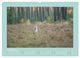 Thumbnail-13