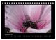 Thumbnail-14