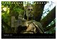 Thumbnail-11