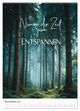 Thumbnail-13