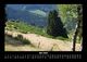 Thumbnail-9
