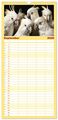 Thumbnail-14