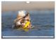Thumbnail-11