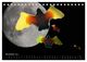 Thumbnail-13