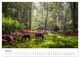 Thumbnail-12