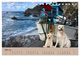 Thumbnail-10